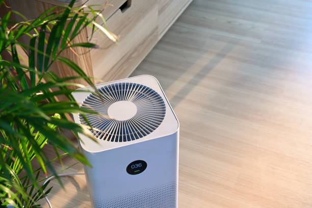 A white air purifier with a digital display showing 036 is placed on a light wooden floor. A green plant is partially visible on the left, and a wooden cabinet is in the background.