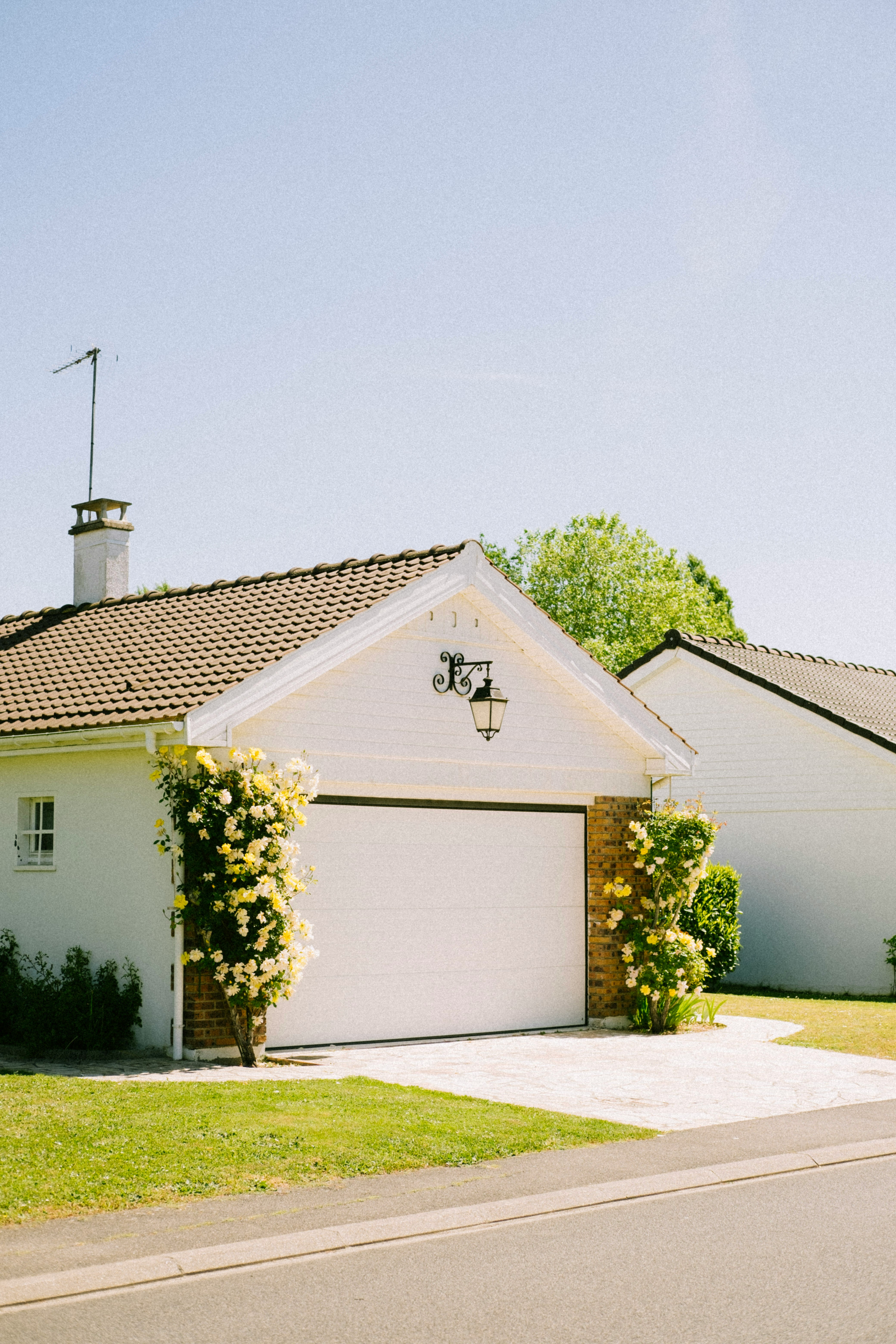 mathias-reding-ZOTvjp_XW7Y-unsplash - Geotane Property Management